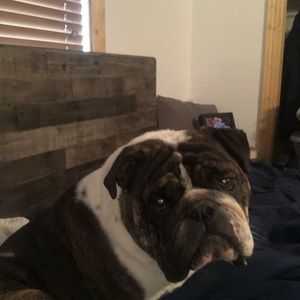 Meet your Posher, Seana